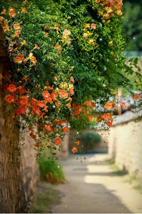 2025년 지역문제발굴단-경남 고성 공룡엑스포 참가자 모집 경남창업교육네트워크 참여대학: 경남대, 경남도립거창대, 국립창원대...