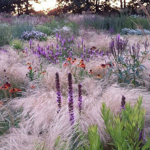 2025년 지역문제발굴단-경남 고성 공룡엑스포 참가자 모집 경남창업교육네트워크 참여대학: 경남대, 경남도립거창대, 국립창원대...