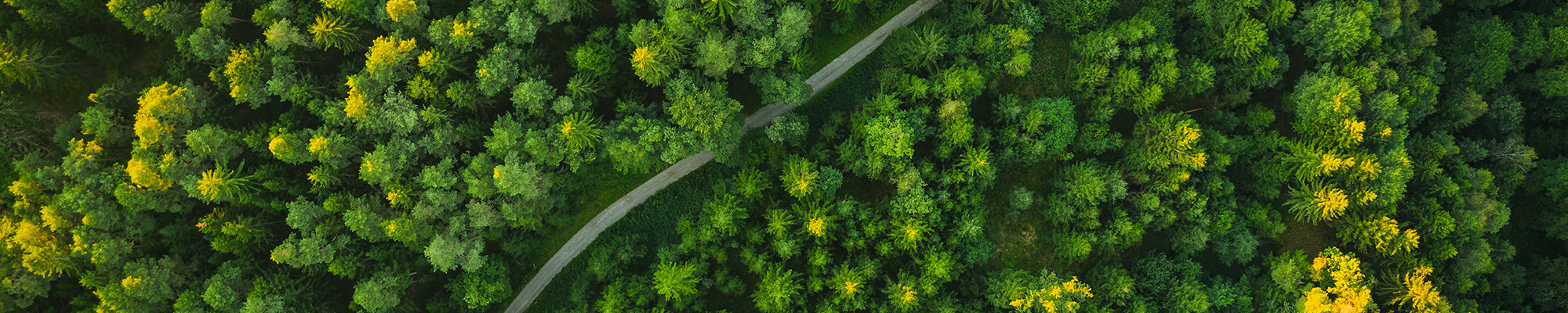 상단이미지영역